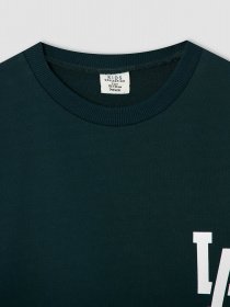 Свитшот DeFacto модель W1483A6-GN493 Фото