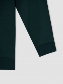 Свитшот DeFacto модель W1483A6-GN493 Фото