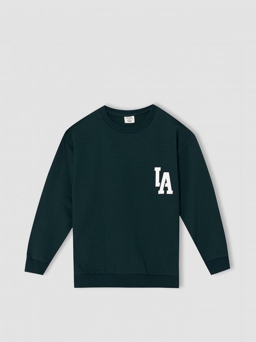 Свитшот DeFacto модель W1483A6-GN493 Фото