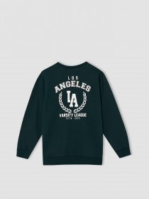 Свитшот DeFacto модель W1483A6-GN493 Фото