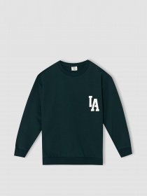 Свитшот DeFacto модель W1483A6-GN493 Фото