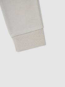 Штаны спортивные DeFacto модель V3309A6-GR424 Фото