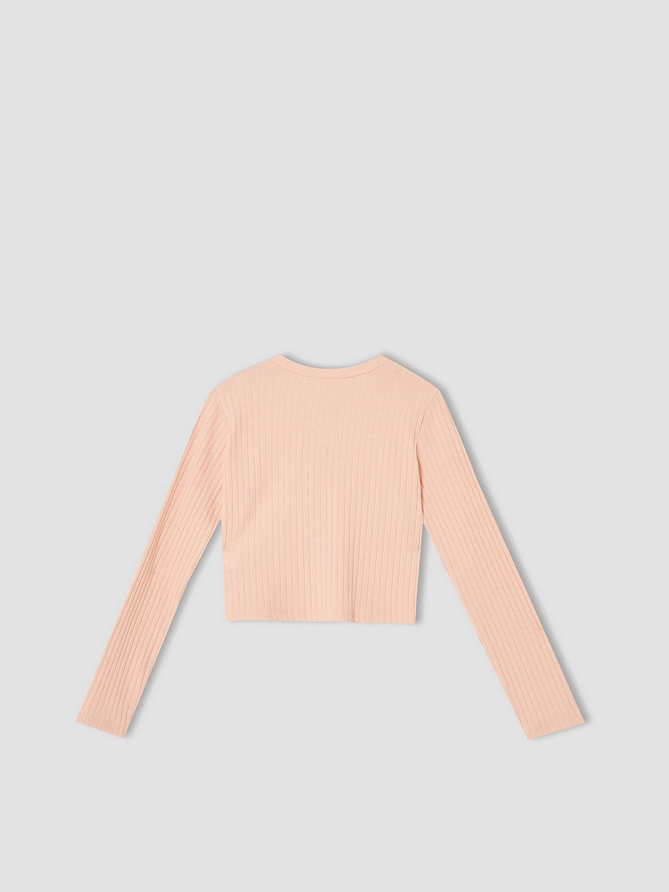 Лонгслив DeFacto модель V3831A6-PN188 Фото