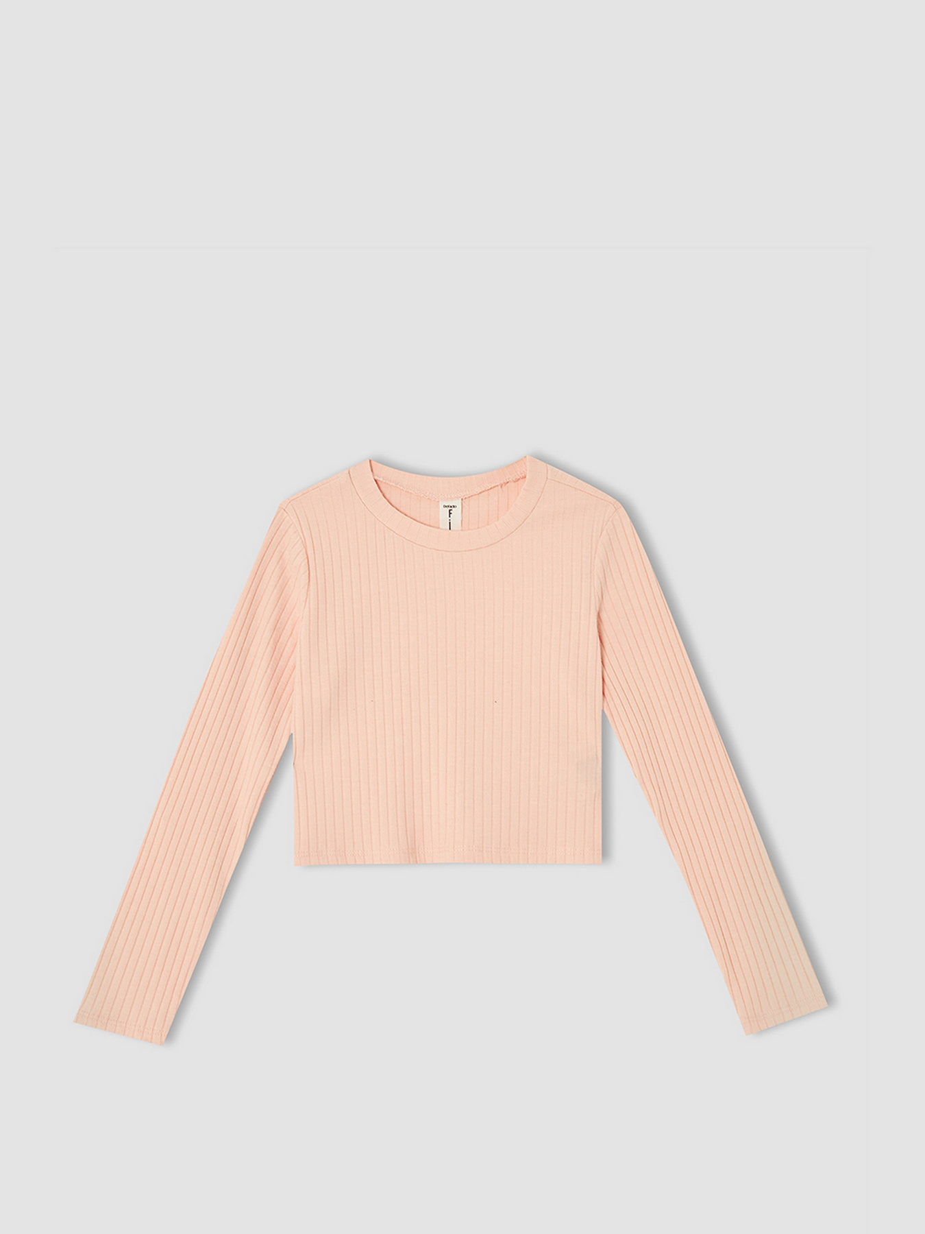 Лонгслив DeFacto модель V3831A6-PN188 Фото