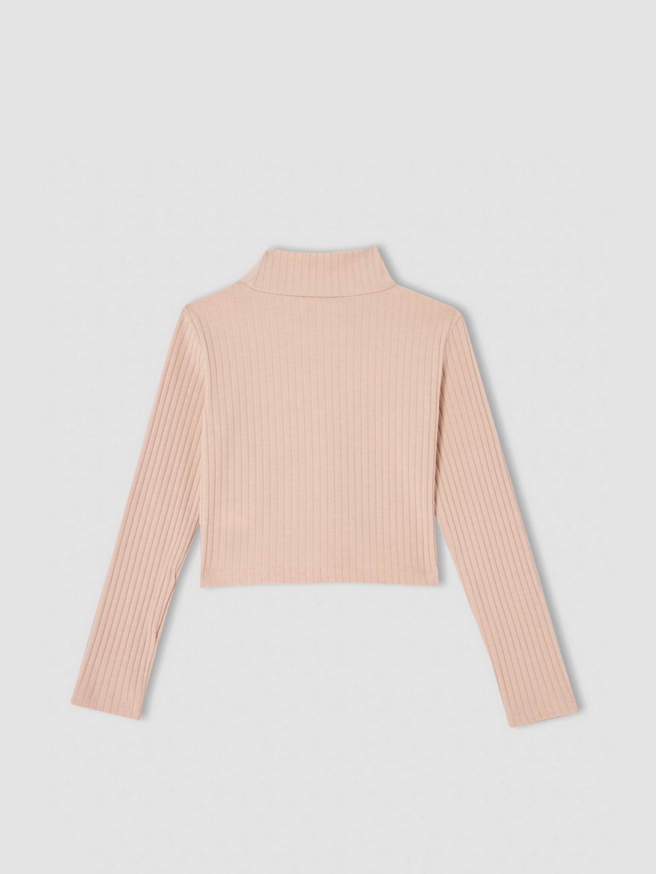 Водолазка DeFacto модель V6542A6-BG654 Фото