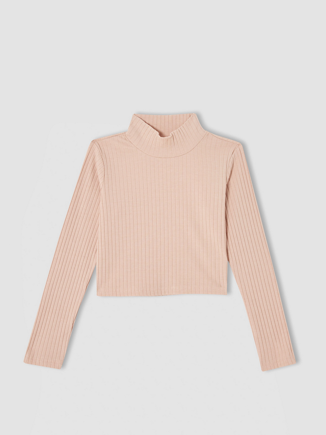 Водолазка DeFacto модель V6542A6-BG654 Фото