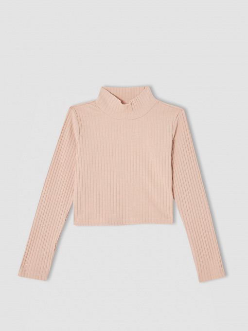 Водолазка DeFacto модель V6542A6-BG654 Фото