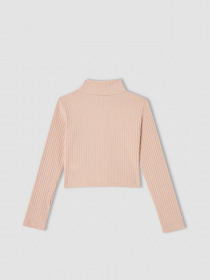 Водолазка DeFacto модель V6542A6-BG654 Водолазка DeFacto модель V6542A6-BG654 Фото