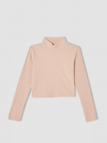 Водолазка DeFacto модель V6542A6-BG654 Водолазка DeFacto модель V6542A6-BG654 Фото