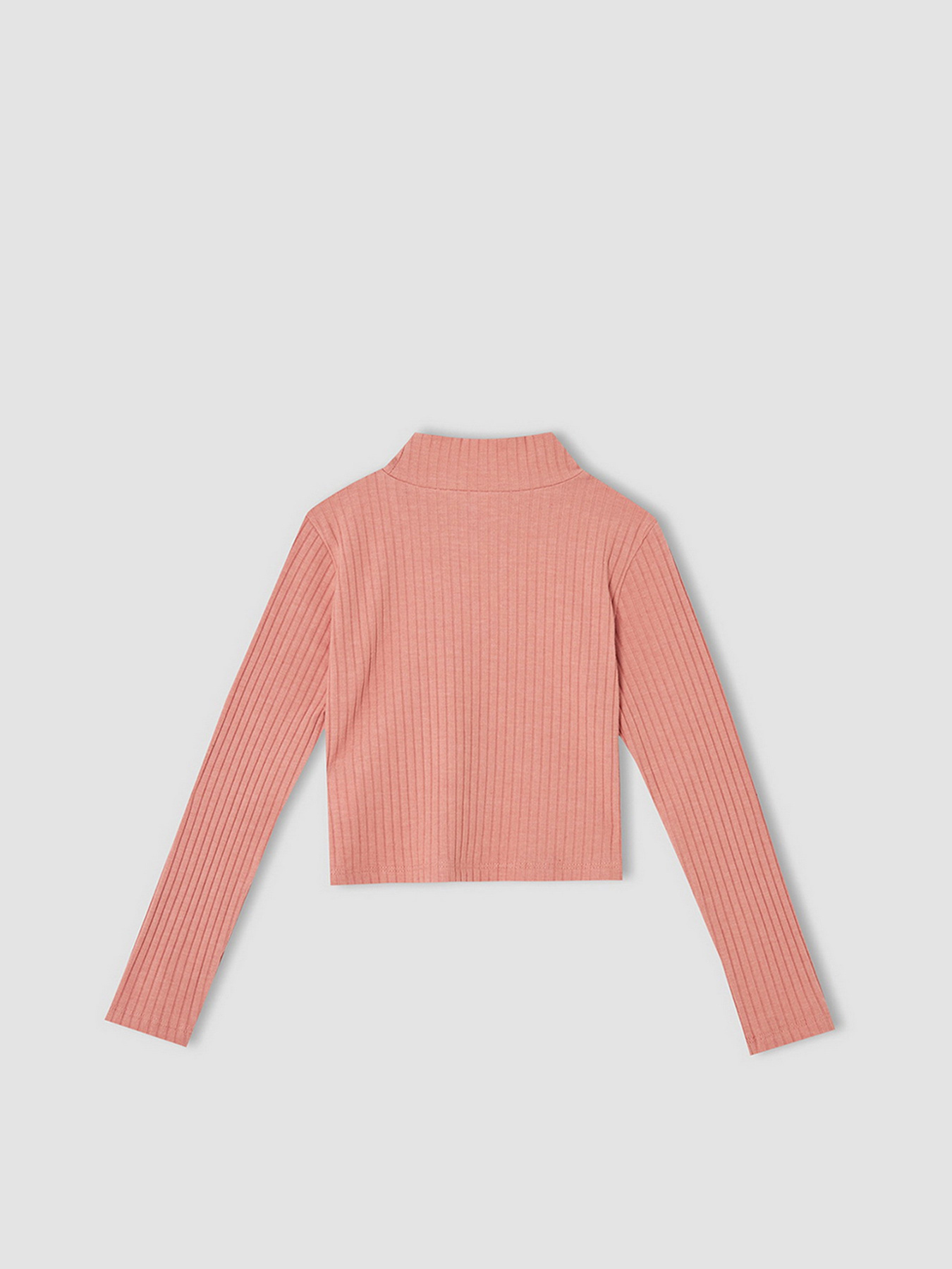 Водолазка DeFacto модель V6542A6-BR128 Фото