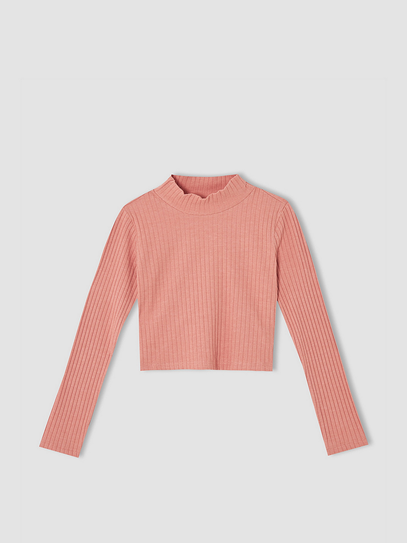 Водолазка DeFacto модель V6542A6-BR128 Фото