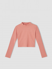 Водолазка DeFacto модель V6542A6-BR128 Фото