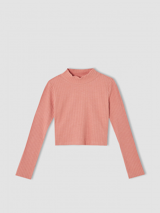 Водолазка DeFacto модель V6542A6-BR128 Фото