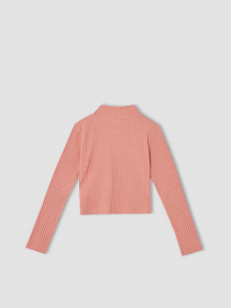 Водолазка DeFacto модель V6542A6-BR128 Фото