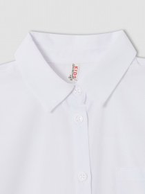 Рубашка DeFacto модель V6612A6-WT34 Фото