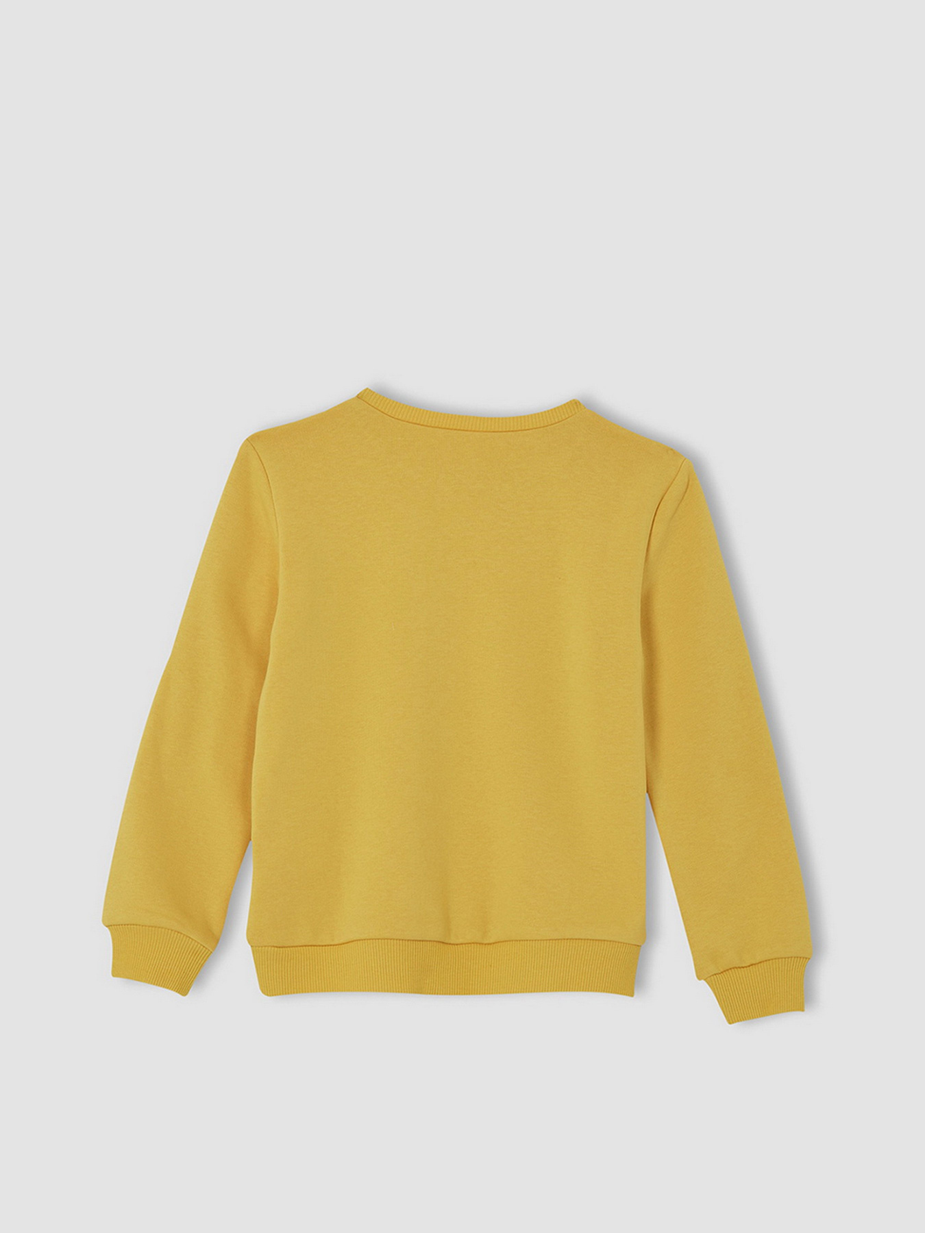 Свитшот DeFacto модель U6470A6-YL274 Фото