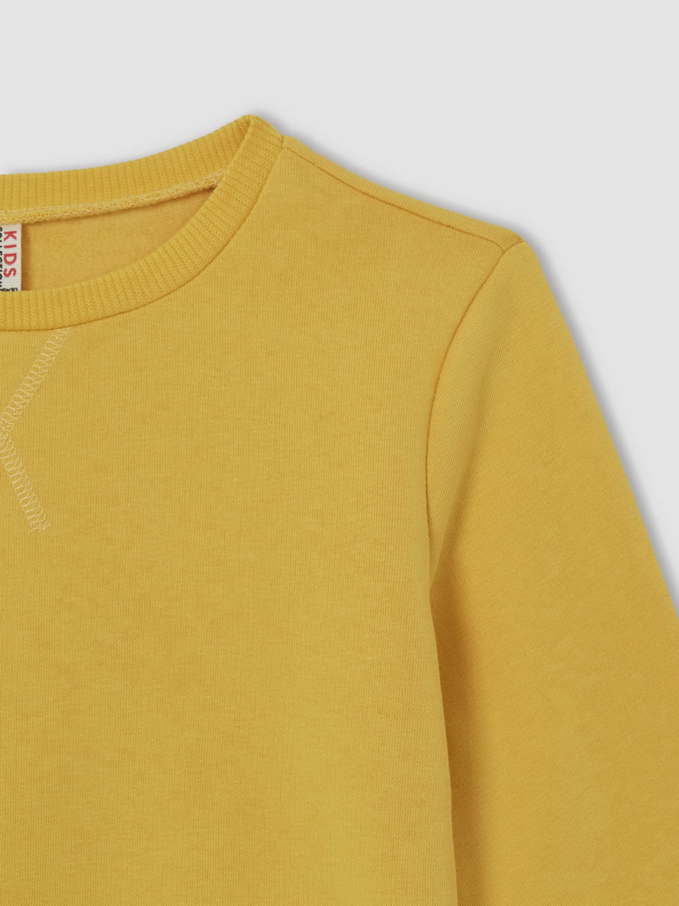 Свитшот DeFacto модель U6470A6-YL274 Фото