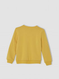 Свитшот DeFacto модель U6470A6-YL274 Фото