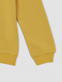 Свитшот DeFacto модель U6470A6-YL274 Фото