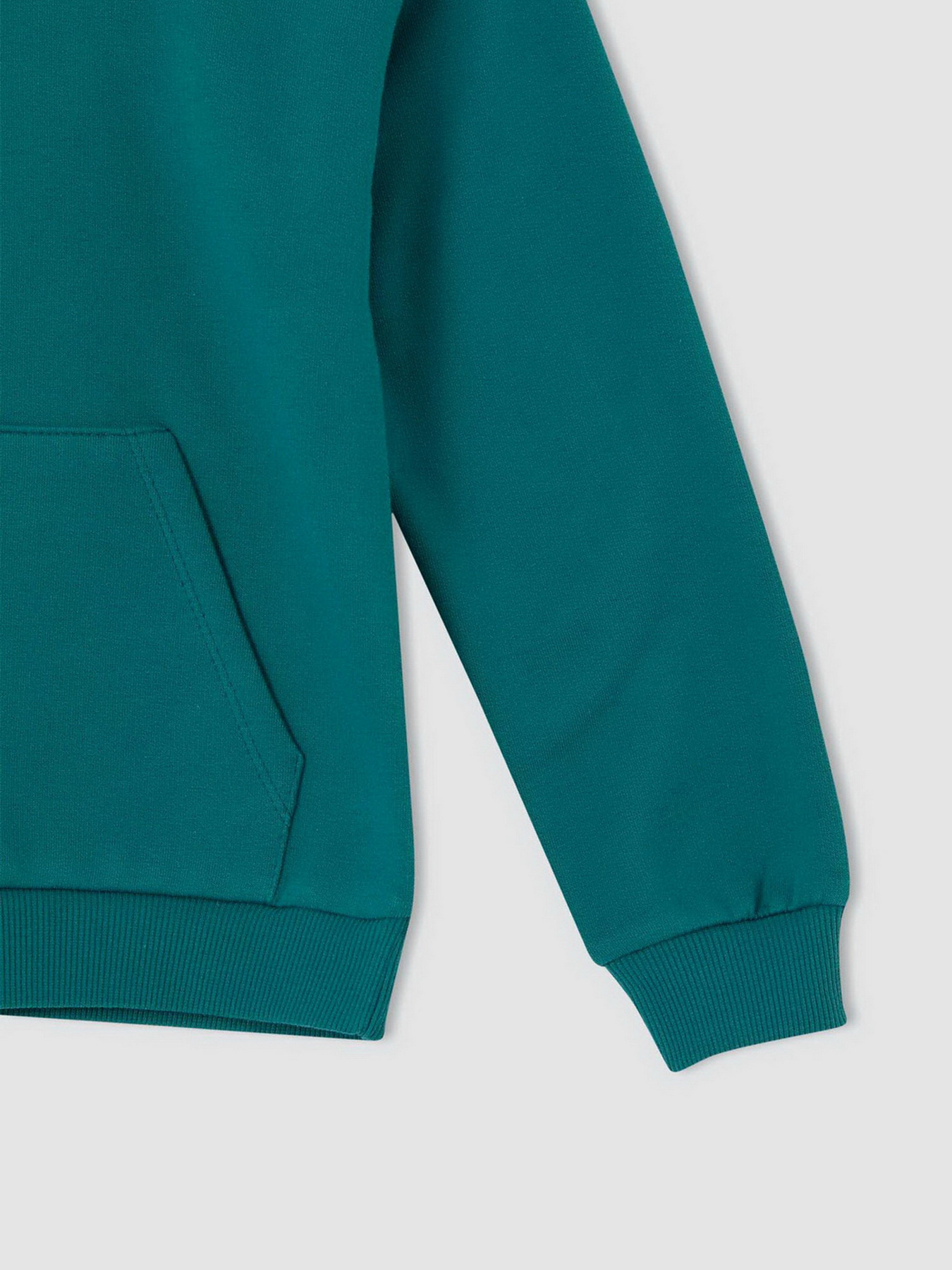 Худі DeFacto модель U6471A6-TR396 Фото