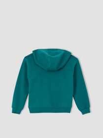 Худі DeFacto модель U6471A6-TR396 Фото