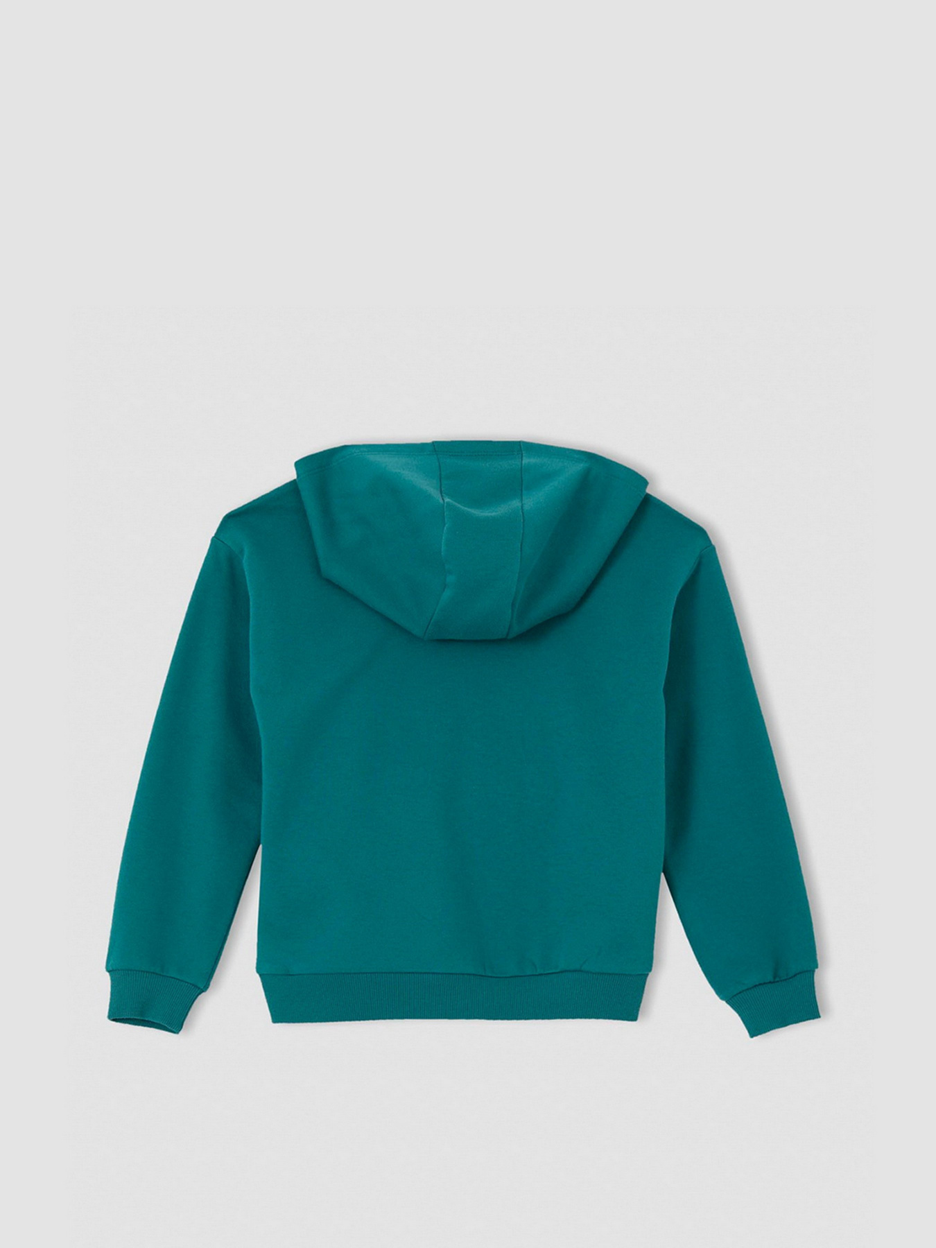 Худі DeFacto модель U6471A6-TR396 Фото