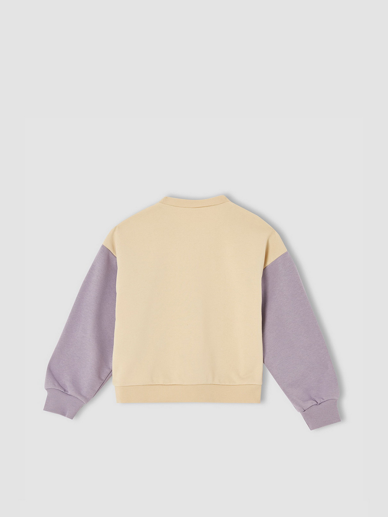 Свитшот DeFacto модель V4288A6-ER119 Фото