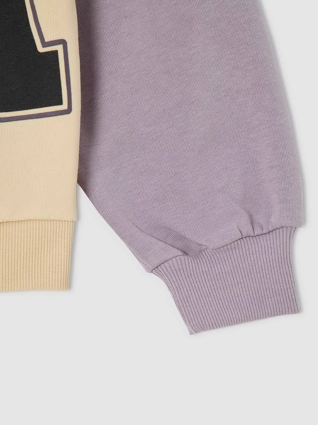 Свитшот DeFacto модель V4288A6-ER119 Фото