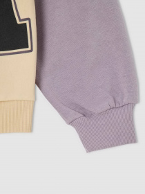 Свитшот DeFacto модель V4288A6-ER119 Фото