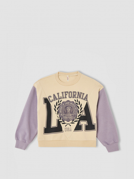 Світшот DeFacto модель V4288A6-ER119 Фото