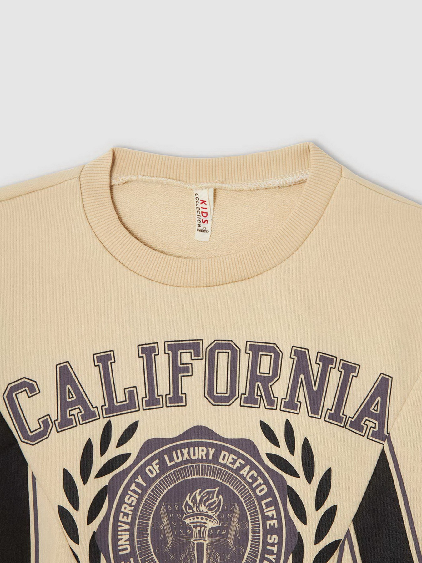 Світшот DeFacto модель V4288A6-ER119 Фото