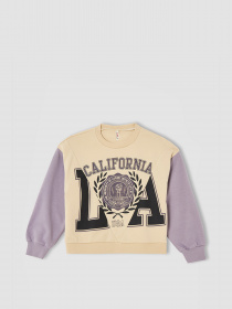 Світшот DeFacto модель V4288A6-ER119 Фото