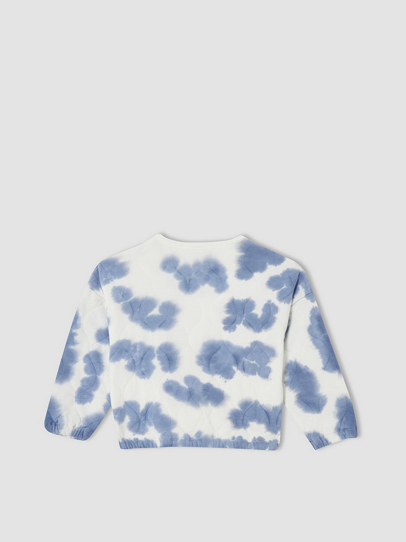 Свитшот DeFacto модель W1341A6-BE18 Фото