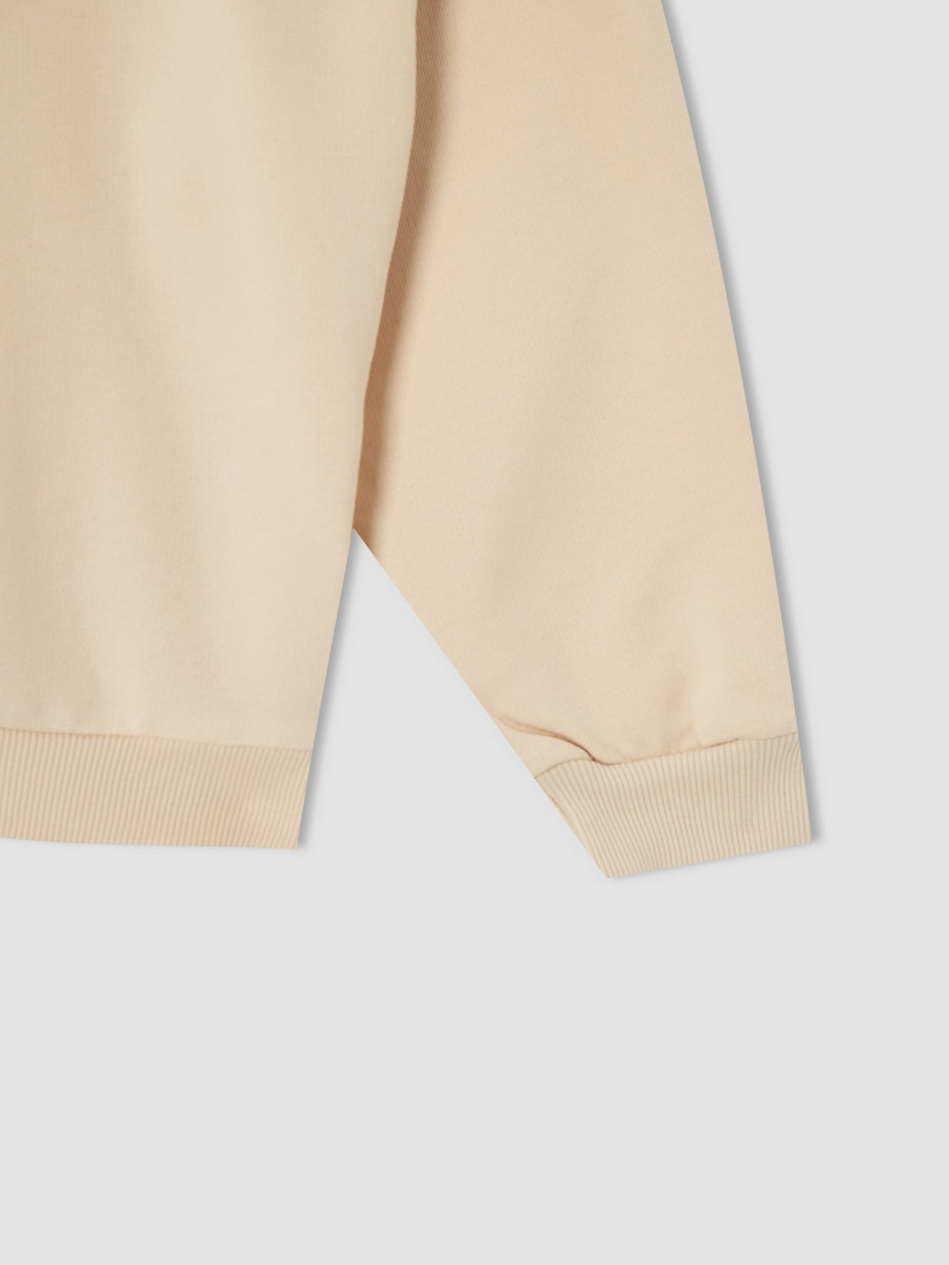 Худи DeFacto модель V0421A6-OG272 Фото