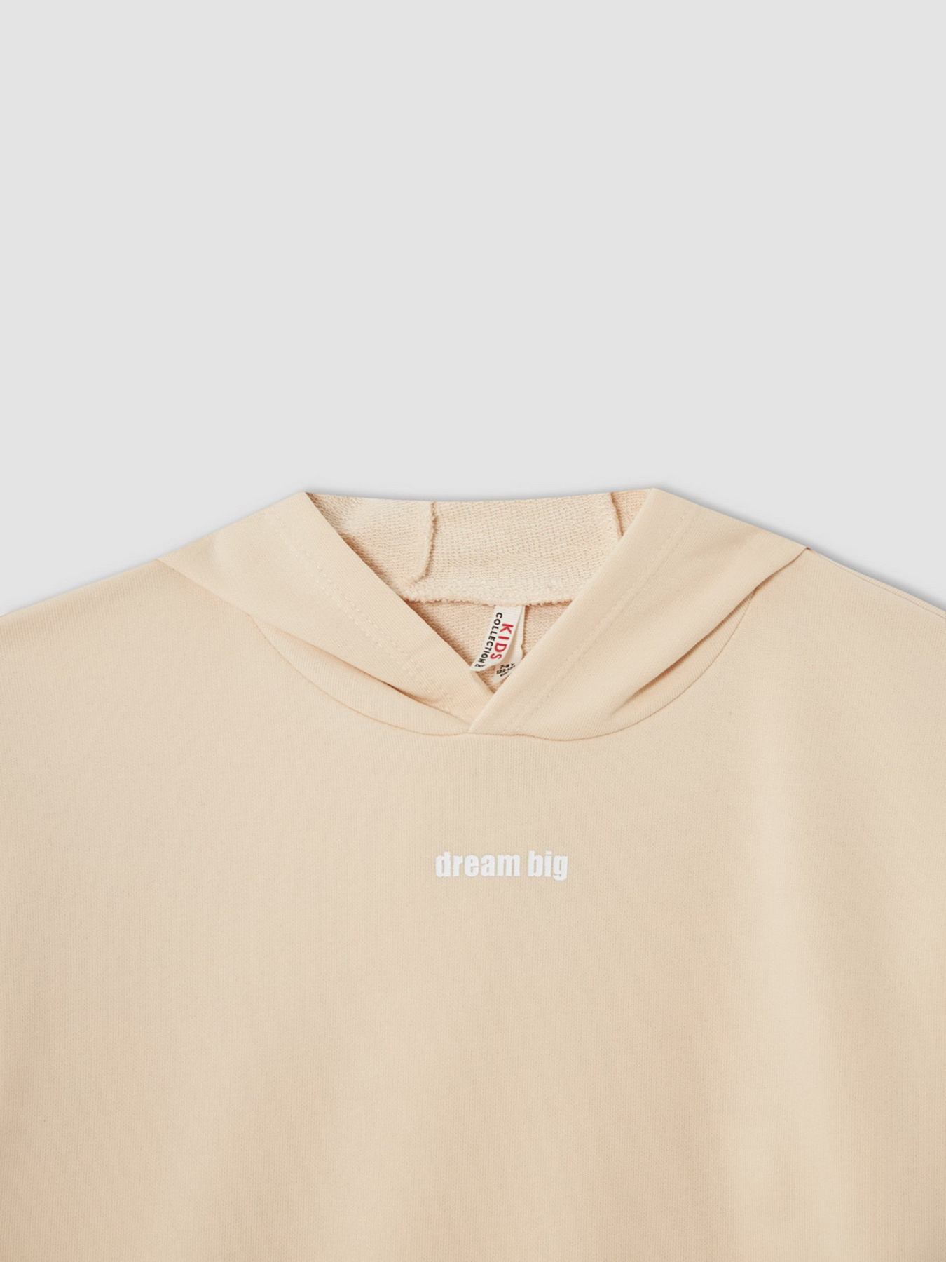 Худи DeFacto модель V0421A6-OG272 Фото