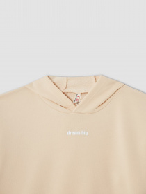 Худи DeFacto модель V0421A6-OG272 Фото