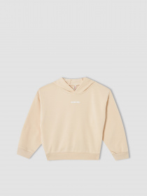 Худи DeFacto модель V0421A6-OG272 Фото