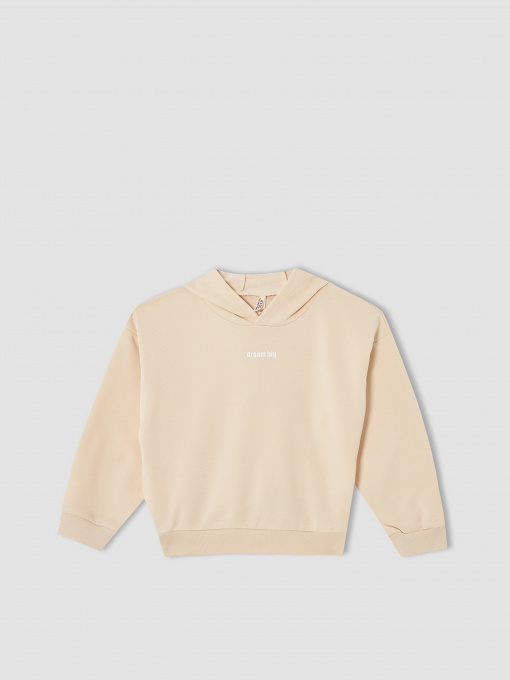 Худі DeFacto модель V0421A6-OG272 Фото