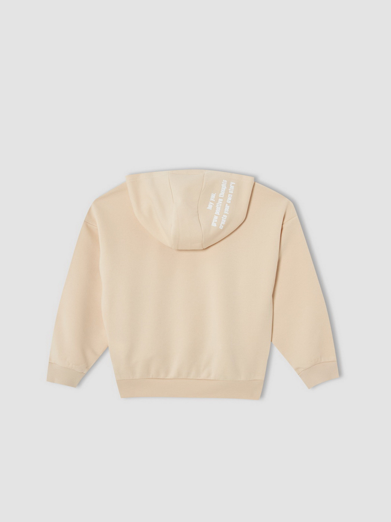 Худі DeFacto модель V0421A6-OG272 Фото