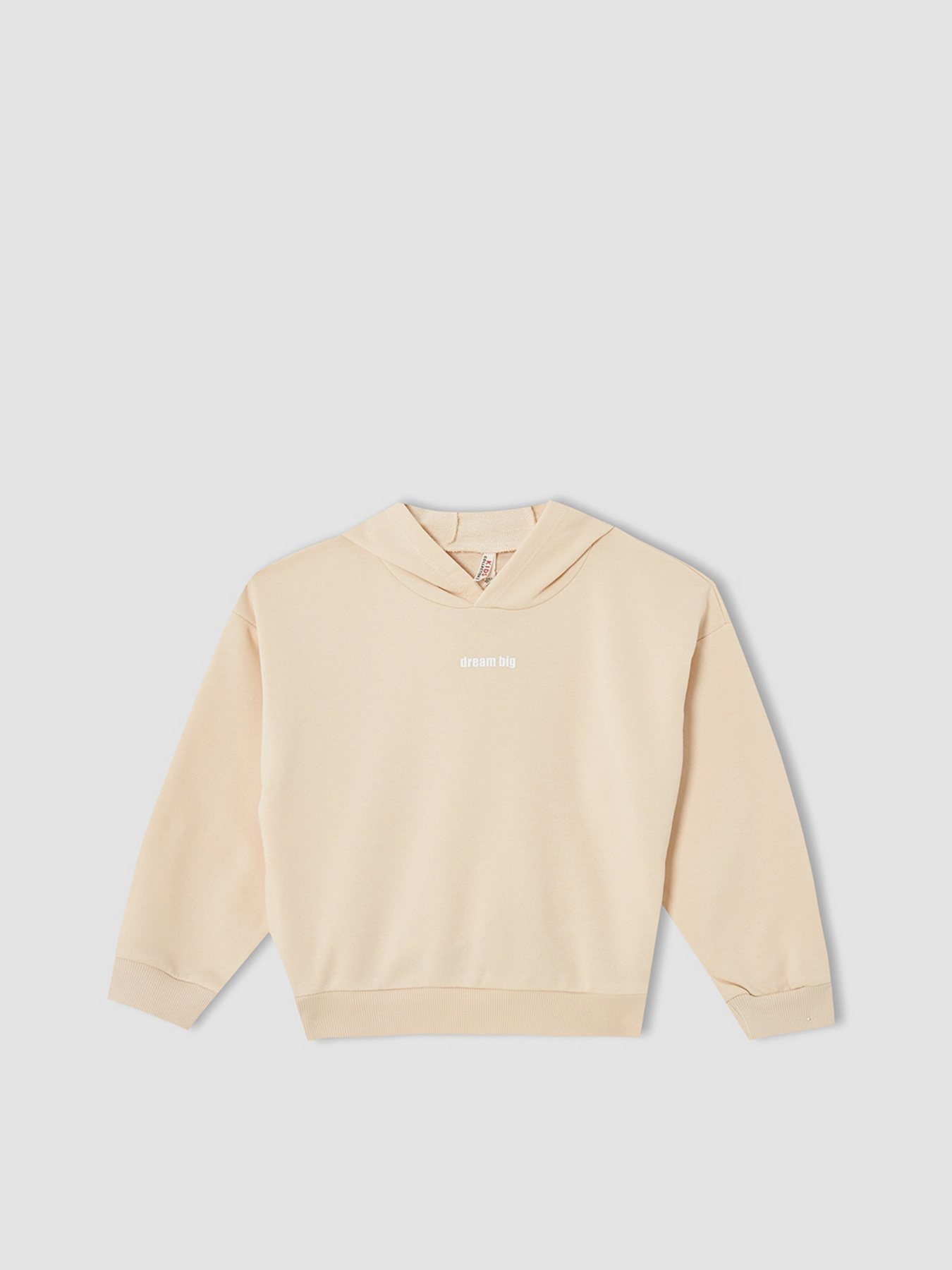 Худі DeFacto модель V0421A6-OG272 Фото