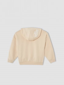 Худі DeFacto модель V0421A6-OG272 Фото