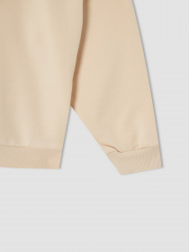 Худі DeFacto модель V0421A6-OG272 Фото