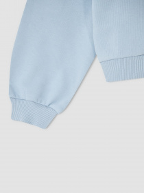 Свитшот DeFacto модель V1046A6-BE523 Фото