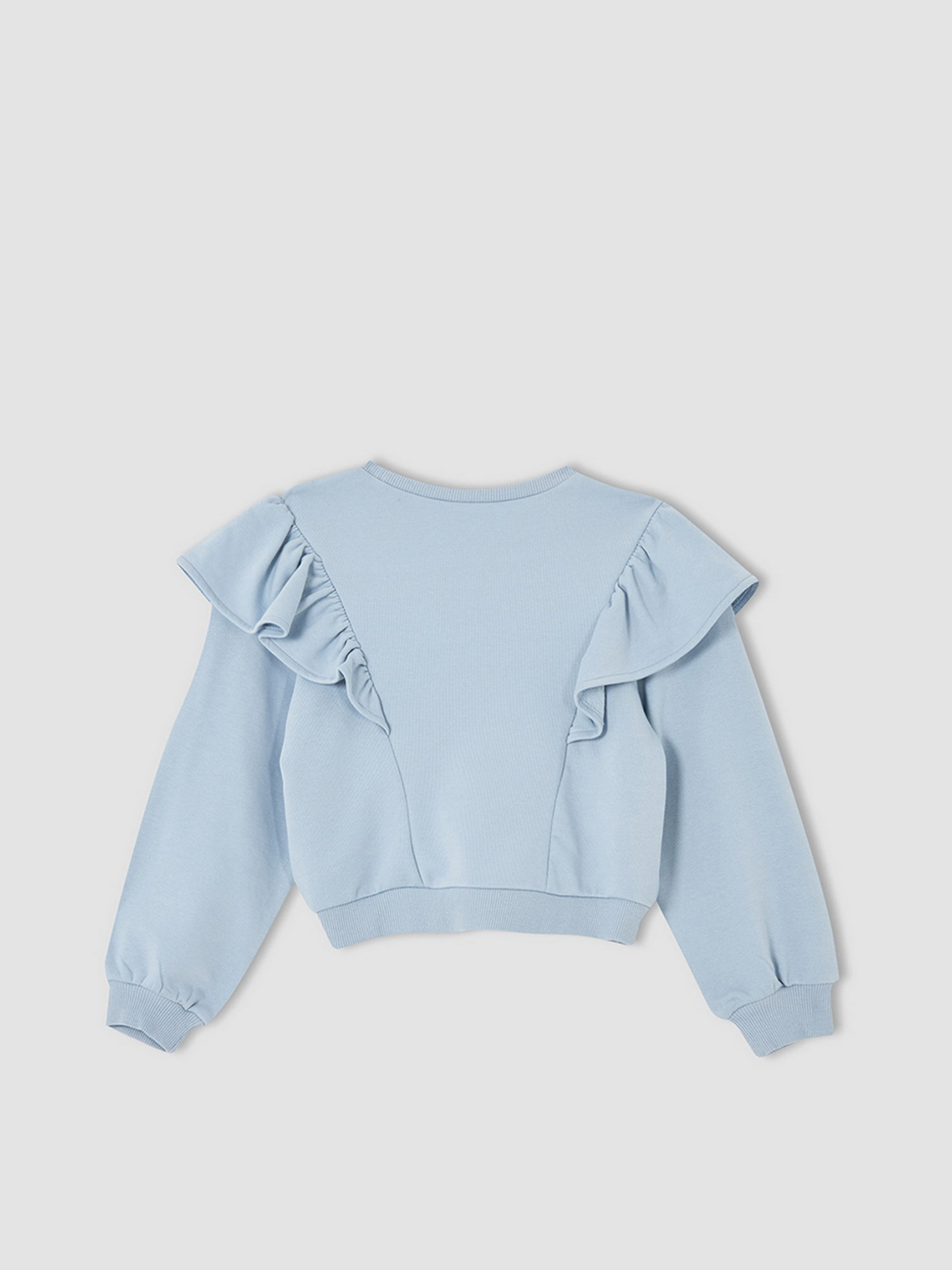 Свитшот DeFacto модель V1046A6-BE523 Фото