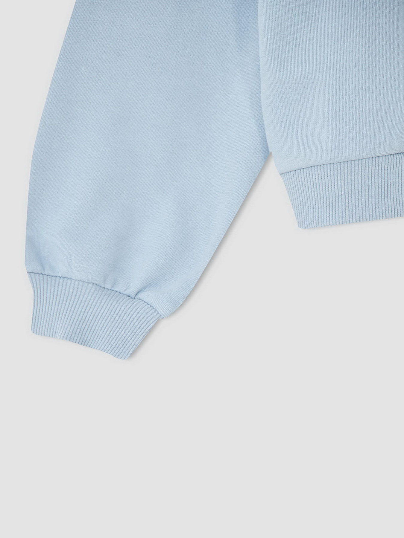 Свитшот DeFacto модель V1046A6-BE523 Фото