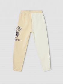 Штаны спортивные DeFacto модель V4303A6-ER119 Фото