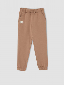 Штаны спортивные DeFacto Jogger модель V3815A6-BN299 Фото