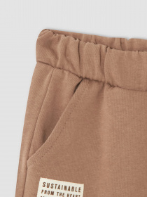 Штаны спортивные DeFacto Jogger модель V3815A6-BN299 Фото