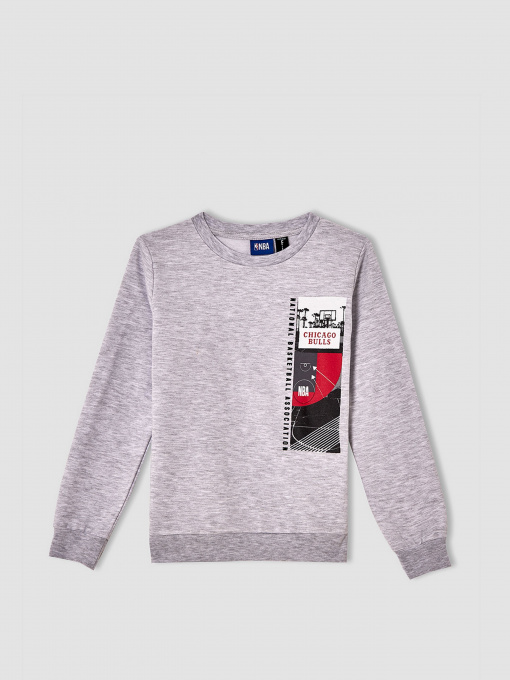 Свитшот DeFacto модель V4452A6-GR400 Фото