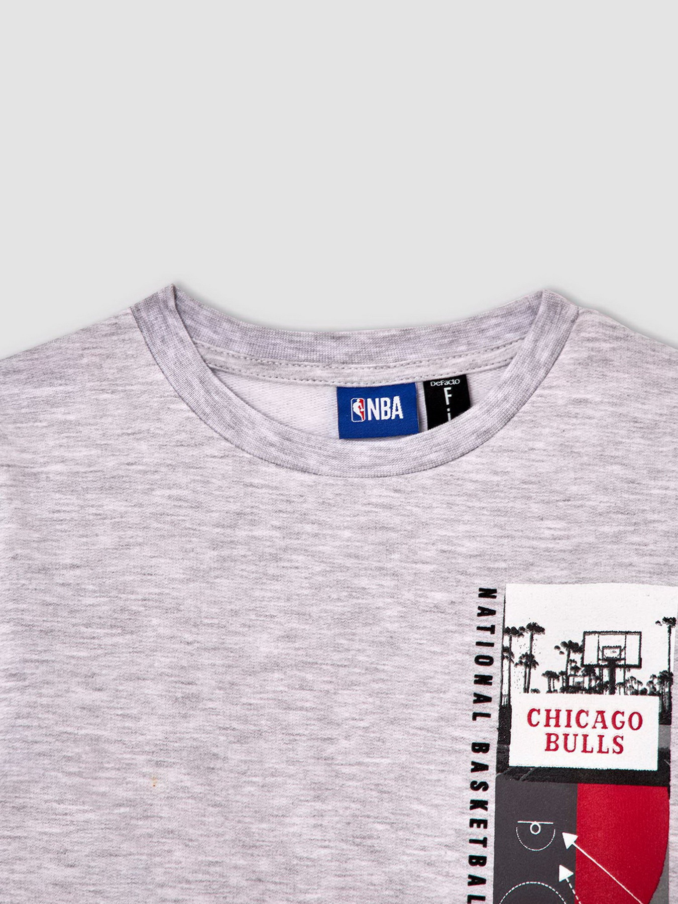 Свитшот DeFacto модель V4452A6-GR400 Фото